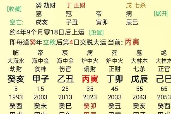 八字算命详细批命表格图