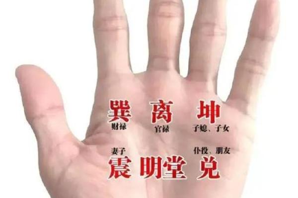 看男人手相算命图解 中指长的会富贵
