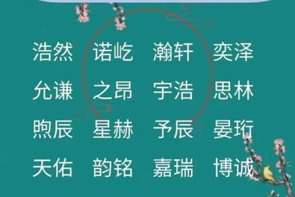 算命给孩子起名怎么起