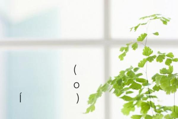 月老灵签四十二签