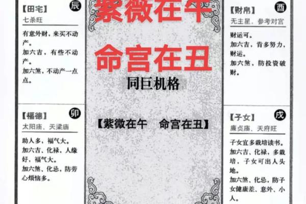 紫薇之术中的紫微斗数