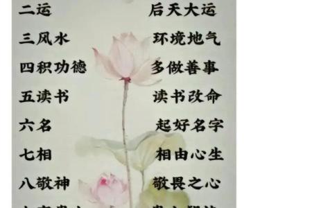 叶曼一命二运三风水