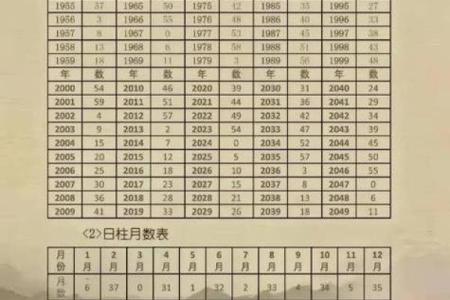 名字测试配对打分