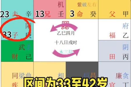 免费紫薇斗数排盘