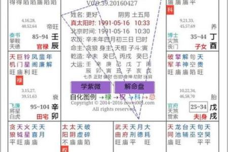 国际八字排盘