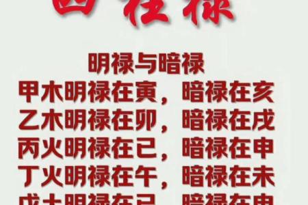 怎么学八字算命
