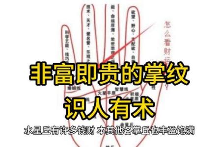 看男人手相算命图解 中指长的会富贵