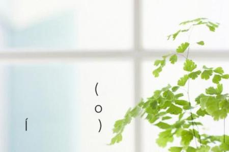 月老灵签四十二签