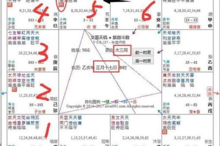 紫微斗数之阴阳五行
