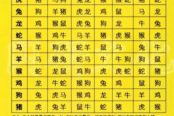 自己怎么学算命