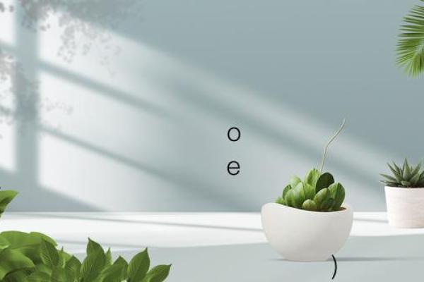 月老灵签35签解签婚姻