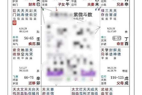 免费紫薇命运斗数