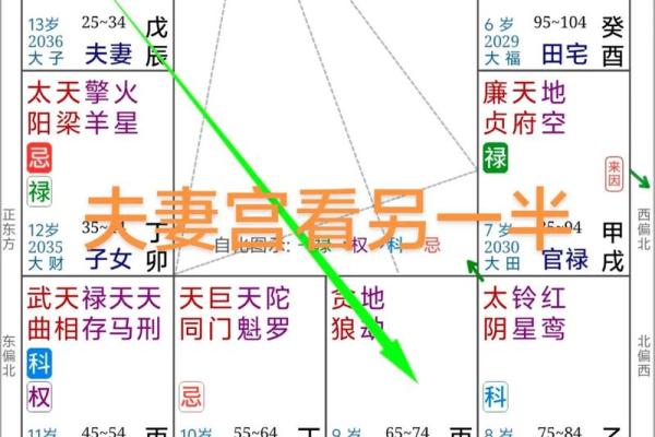 紫薇斗数夫妻宫凤阁