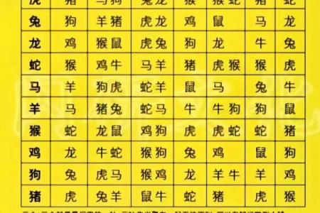 自己怎么学算命