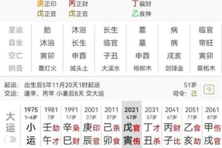 食神泄秀八字案例