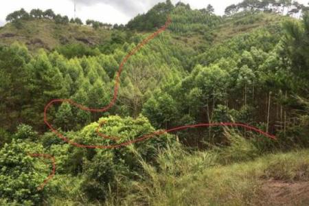 风水坟后多少米为靠山有助于吸取财气