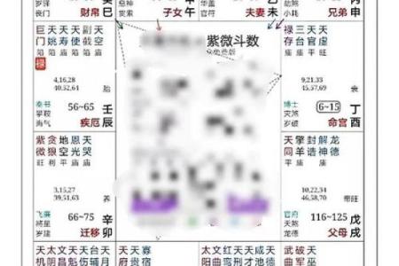 免费紫薇命运斗数