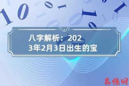宝宝八字大