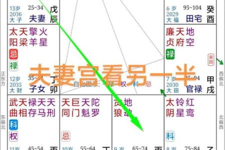 紫薇斗数夫妻宫凤阁